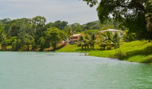 Summer: CELA (Belize)